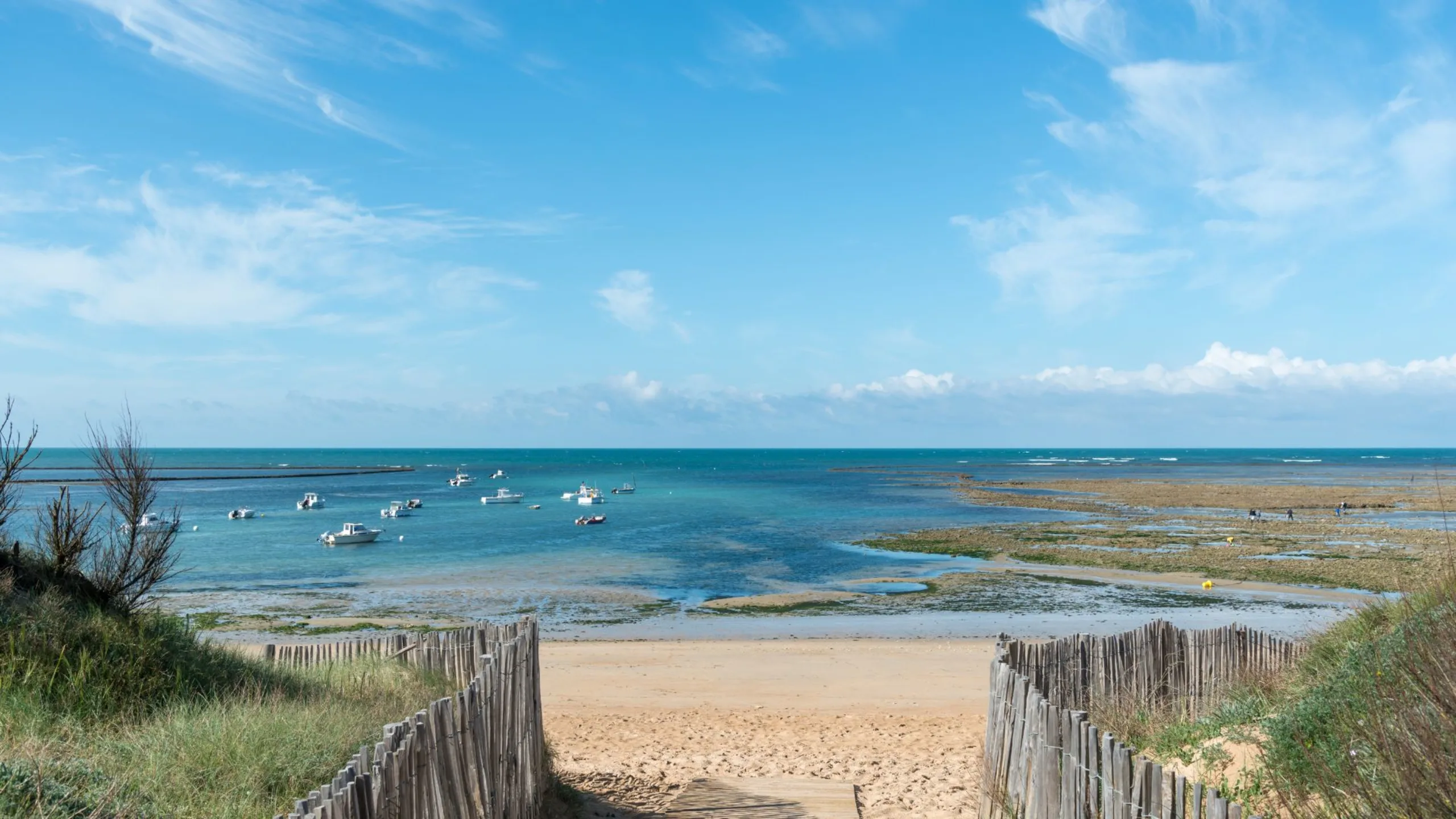 Programme immobilier neuf Arénaria Saint-Georges-d'Oléron - vue 5