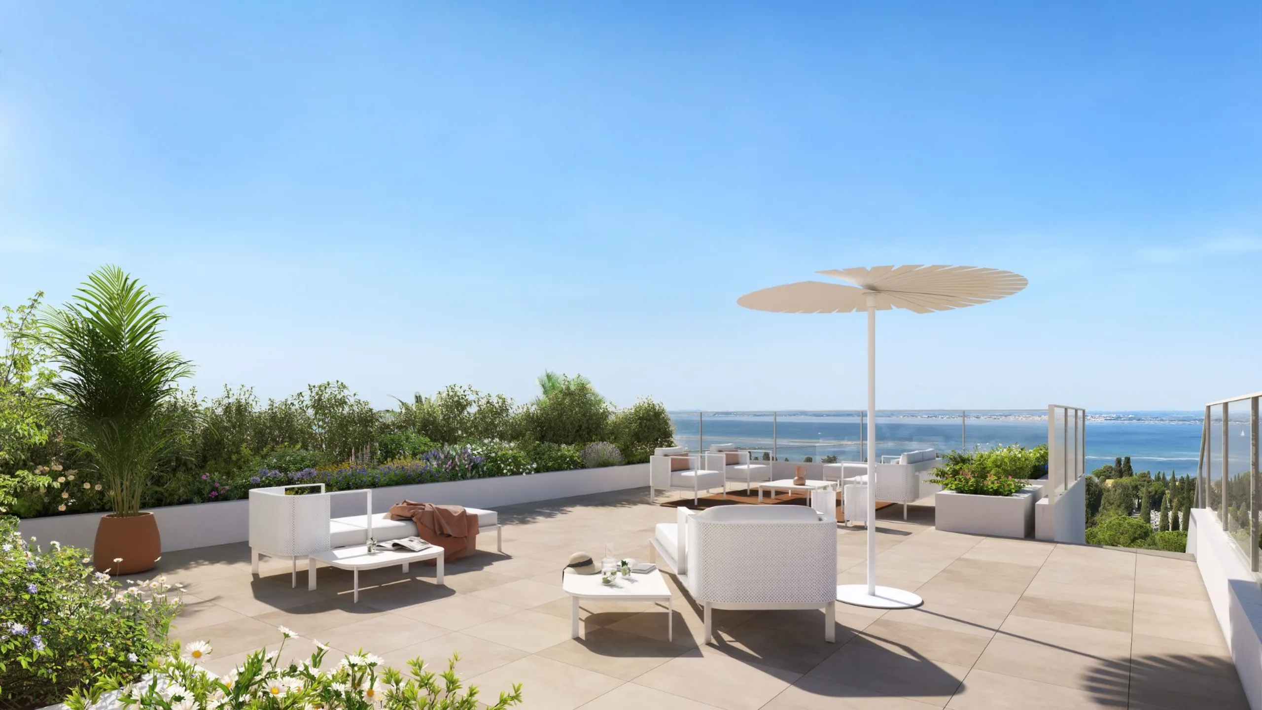 Appartement neuf Singulière Sète
