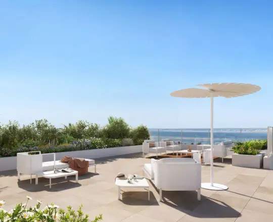 Appartement neuf Singulière Sète