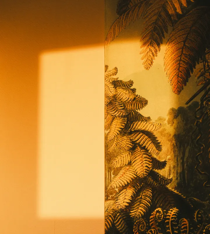 Reflet du soleil sur le mur