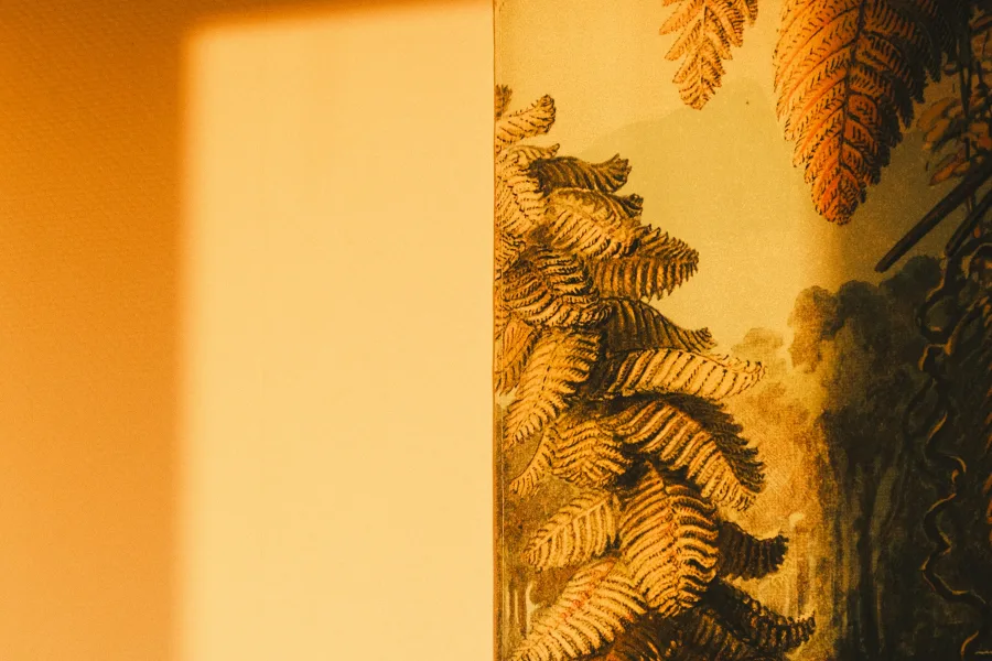 Reflet du soleil sur le mur