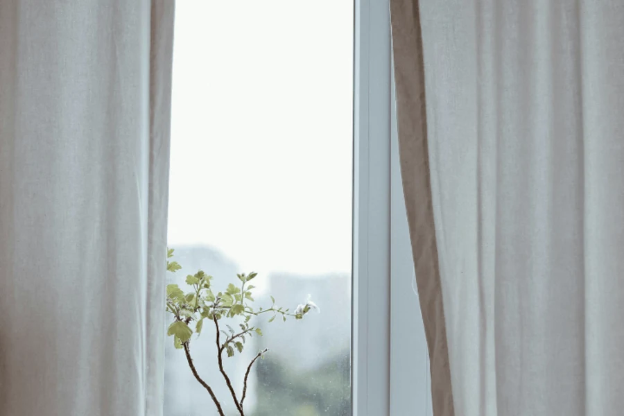 Fenêtre avec voilage et plante